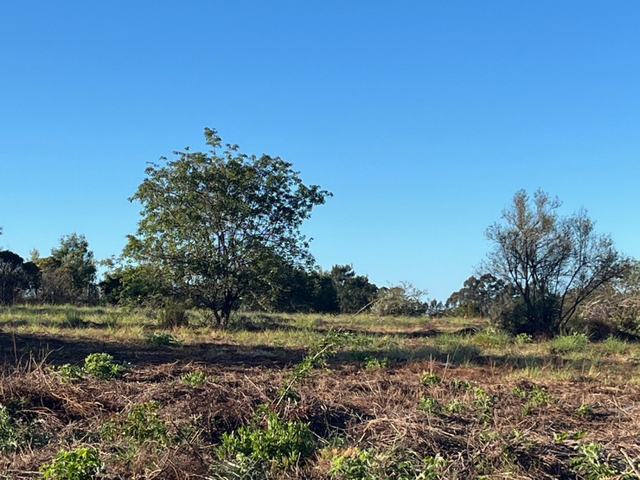 Commercial Property for Sale in Plettenberg Bay Rural Western Cape